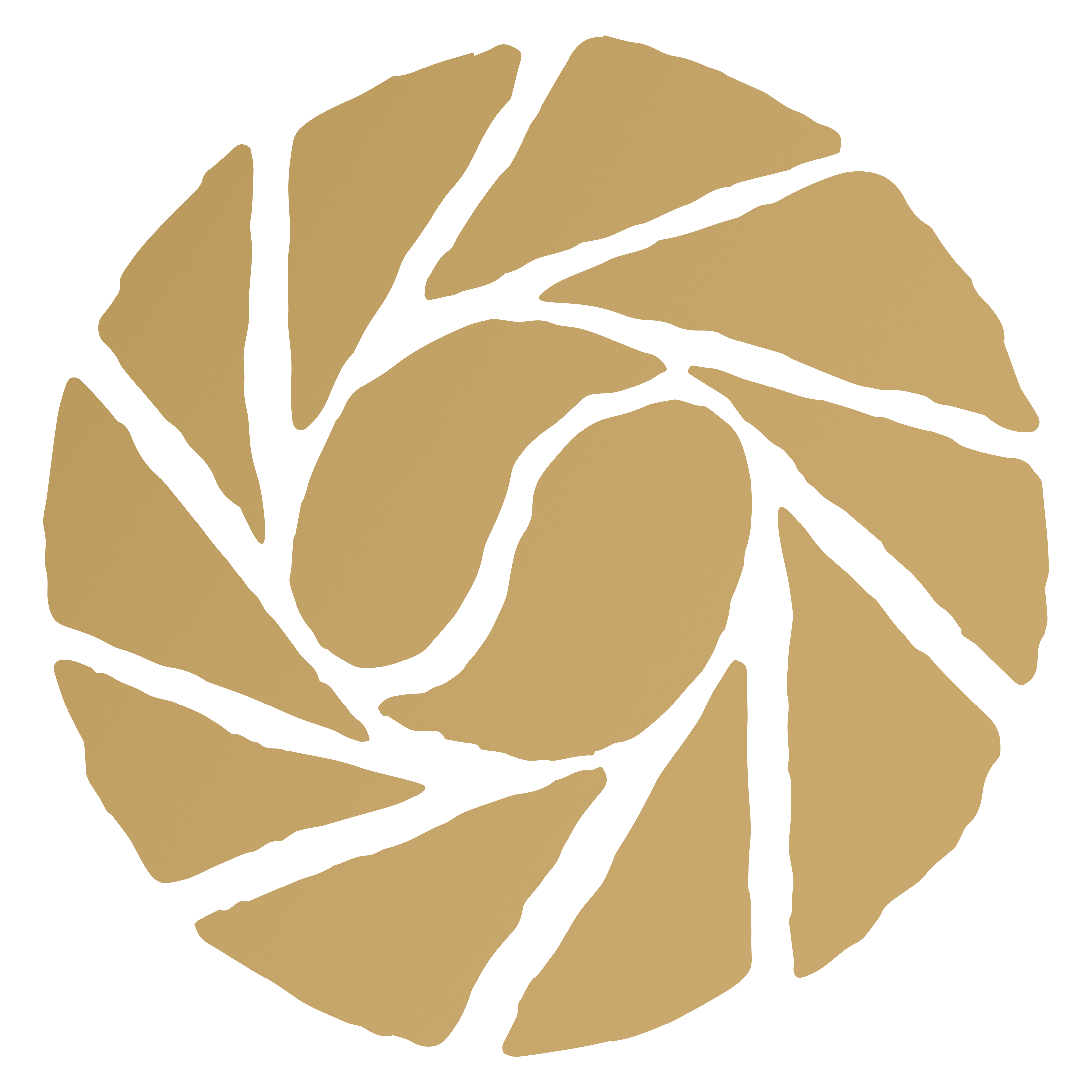 Logo MUGAIN